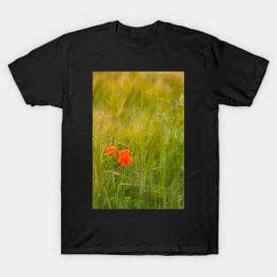 Remembrance - Wild Red Poppies T-Shirt